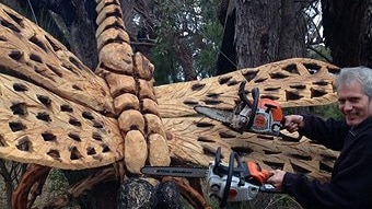 Chainsaw sculpture by Albany artist Darrel Radcliffe.