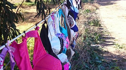 National Museum of Australia on X: To raise awareness for breast cancer,  the women of Many Threads hung over 100 bras on the six-kilometre fence  line from Cherbourg to Murgon. This bra