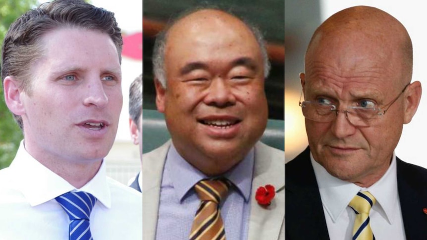 Andrew Hastie, Ian Goodenough, David Leyonhjelm.