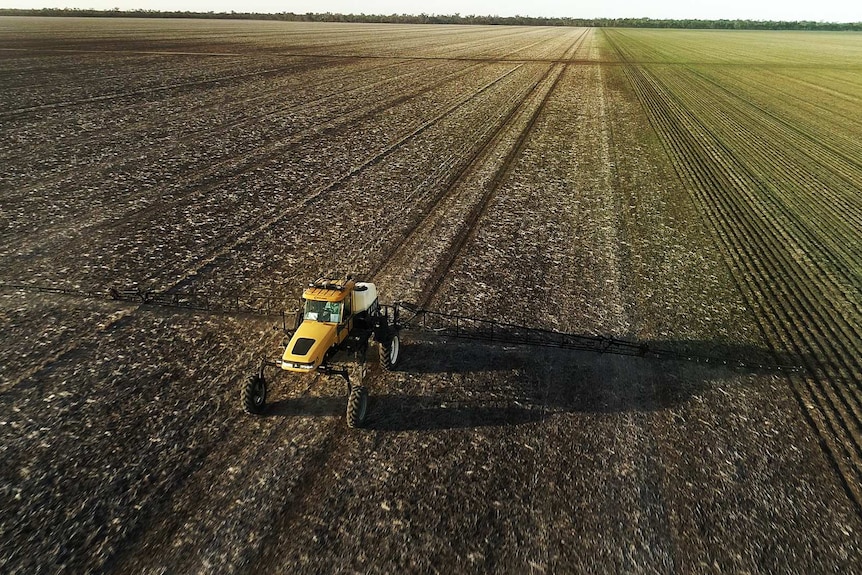 Crop being sprayed with glyphosate