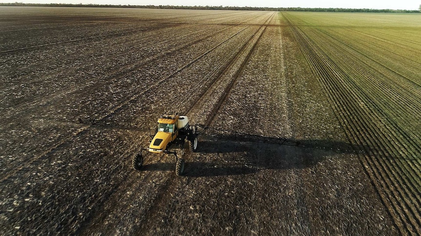 A crop is sprayed with Roundup containing glyphosate.