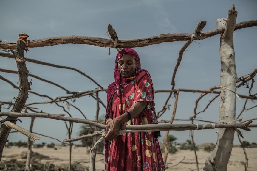 A woman standing near the fence in Chad.