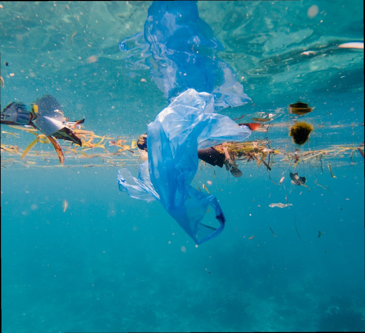 plastic bags and other debris in the water
