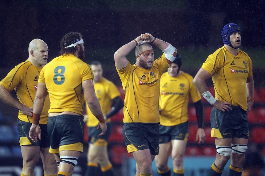 Dan Palmer holds his hands on his head next to other Wallabies players
