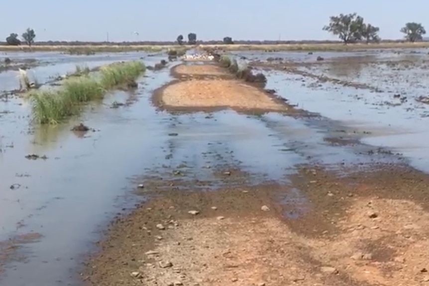 A rural road partially covered in water