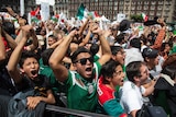 Mexico fans celebrate World Cup match win over Germany.