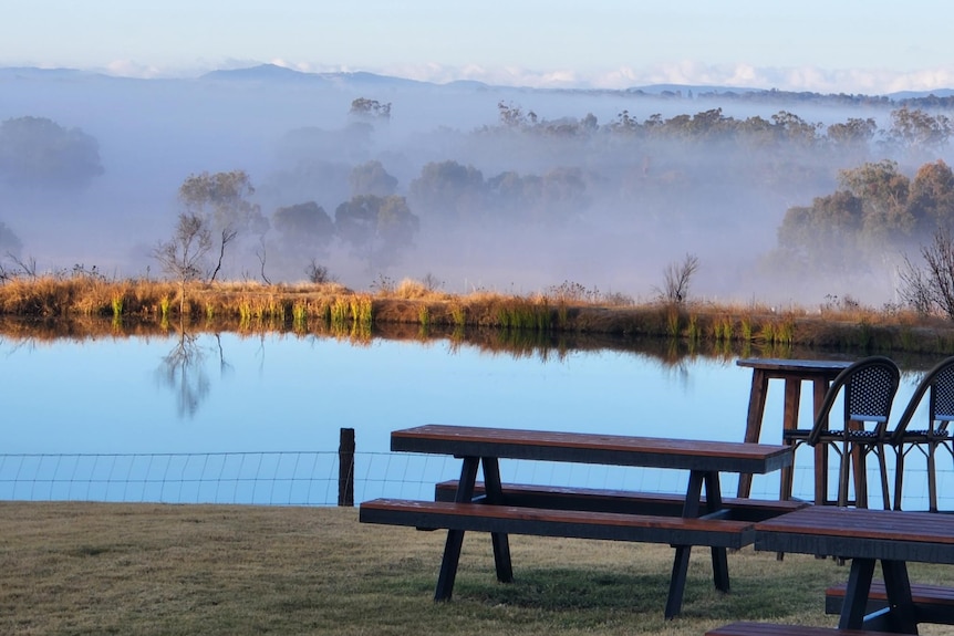 Park bench with early morning mist in the background.