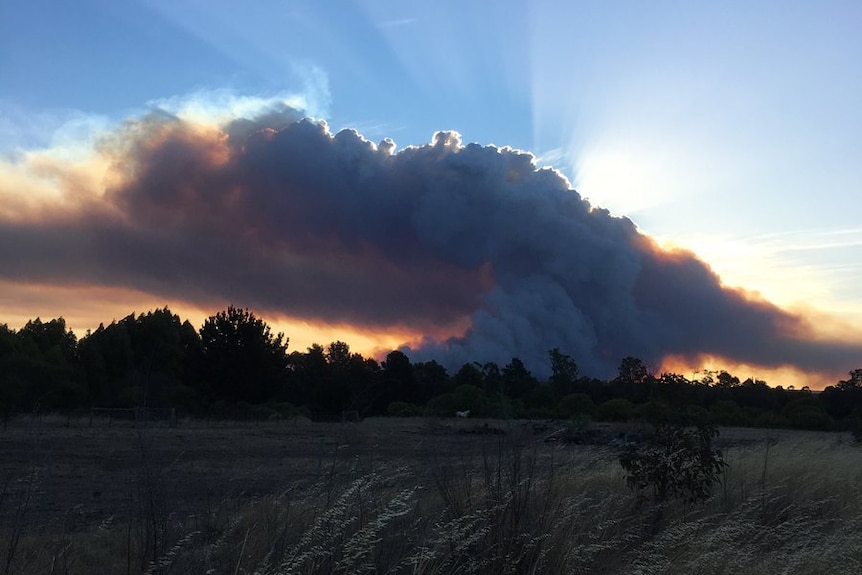 A smoke plume at sunset.