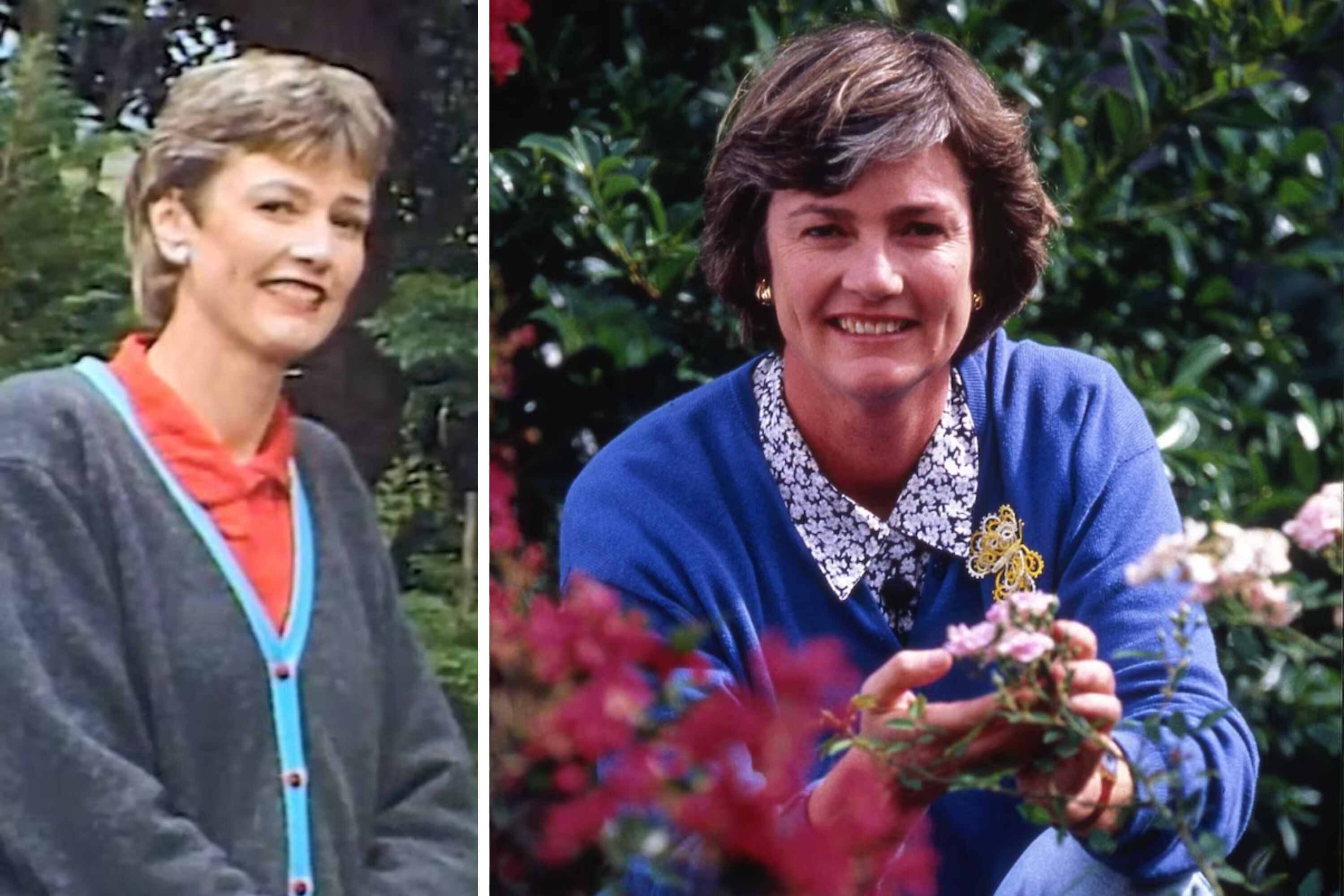 Woman standing in a parkland. A woman smiling while crouching in a garden
