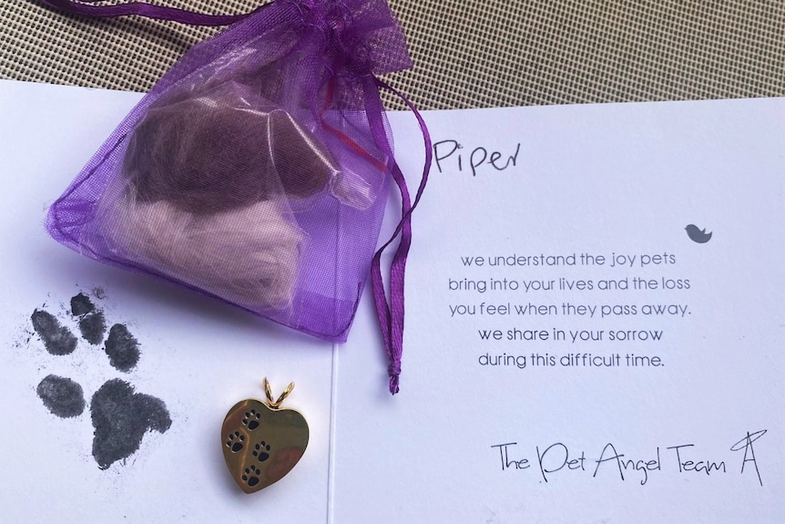 A card with a small purple bag containing brown and white fur 