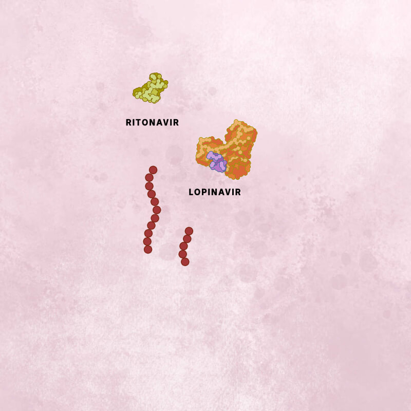 A mauve lopinavir molecule bound to an orange viral protease, with a yellow ritonavir molecule and viral polyprotein chains.