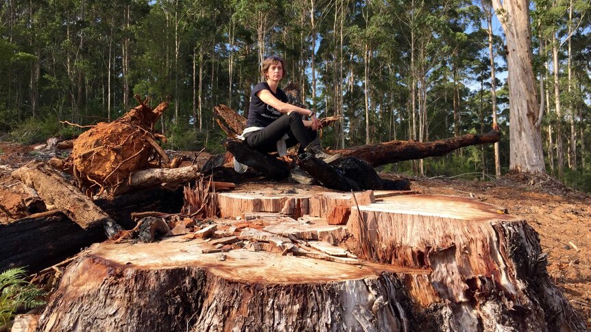 A woman sits on a felled tree.