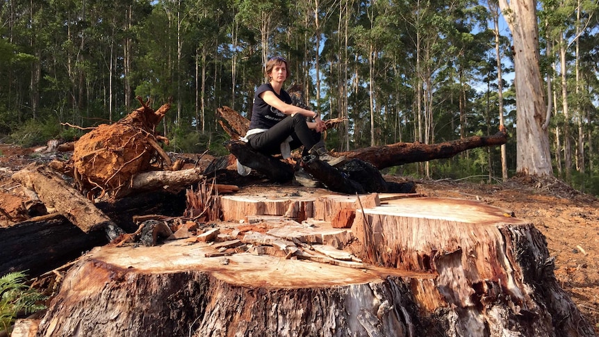 A woman sits on a felled tree.