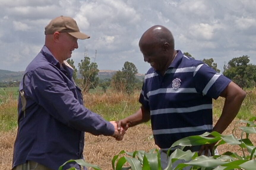 Two men shake hands while standing in a field on a farm in Zimbabwe.