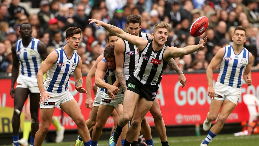Collingwood's Sam Murray reaches for the ball against North Melbourne.