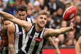 Collingwood's Sam Murray reaches for the ball against North Melbourne.