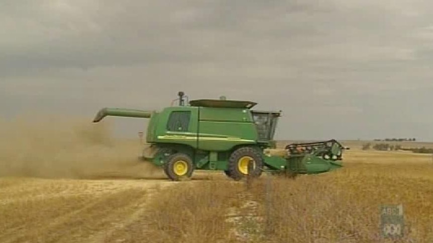 Wheat harvest ending in QLD