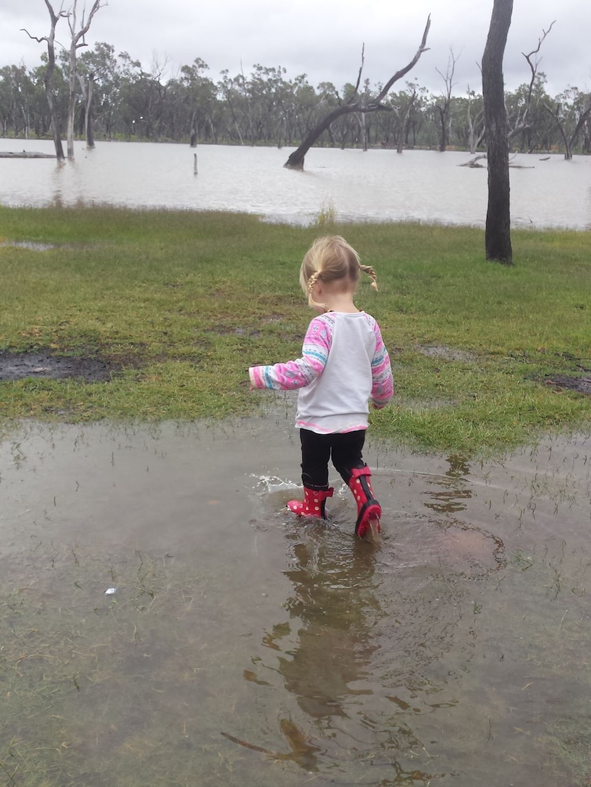 A little girl plays in a puddle.