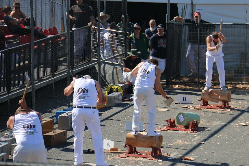 Four men compete in a woodchopping competition.