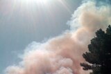 Smoke from a fire near Lake Clifton