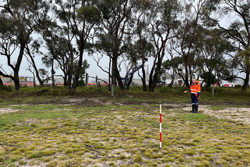 Woman in high-vis stands in a misty field, holding a detection instrument and smiling at a distance. 