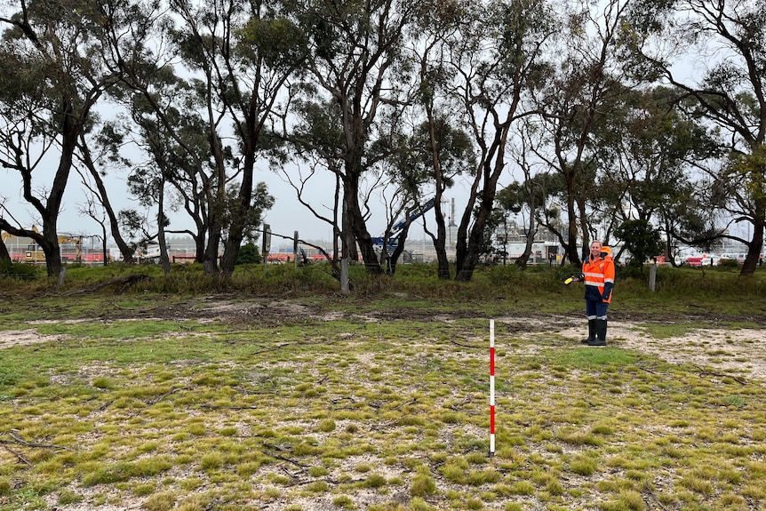 Woman in high-vis stands in a misty field, holding a detection instrument and smiling at a distance. 
