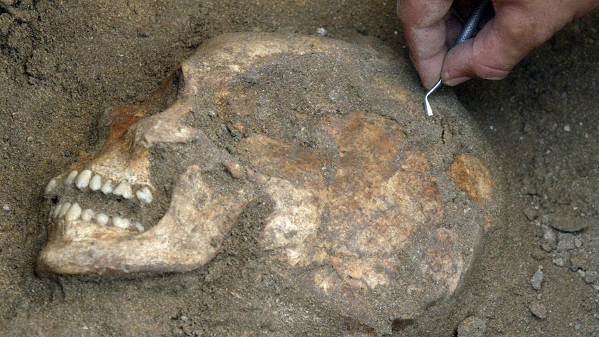 Archaeologist unearths skull of ancient Canaanite