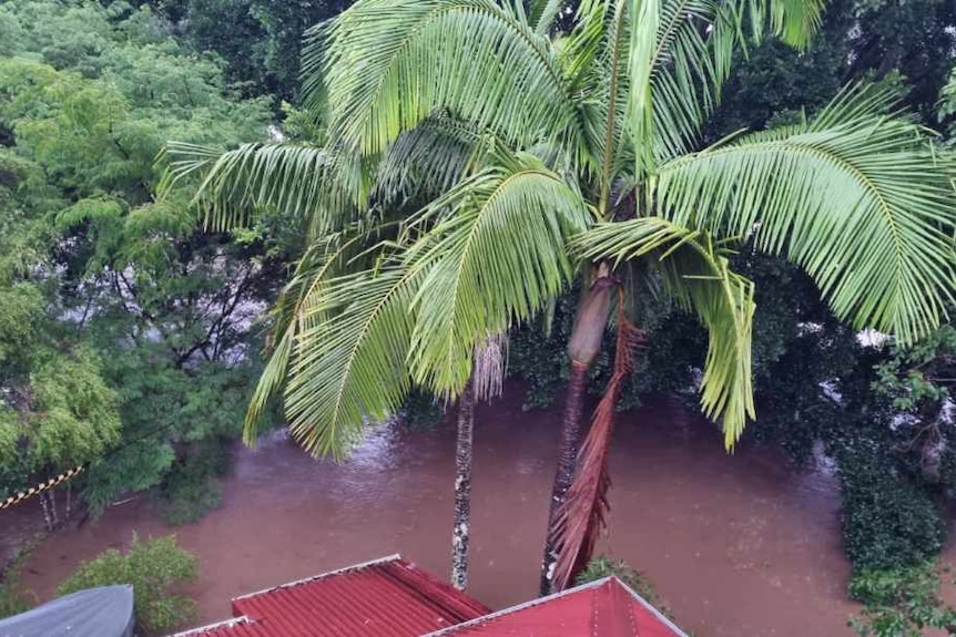 A house backyard is filled with brown water