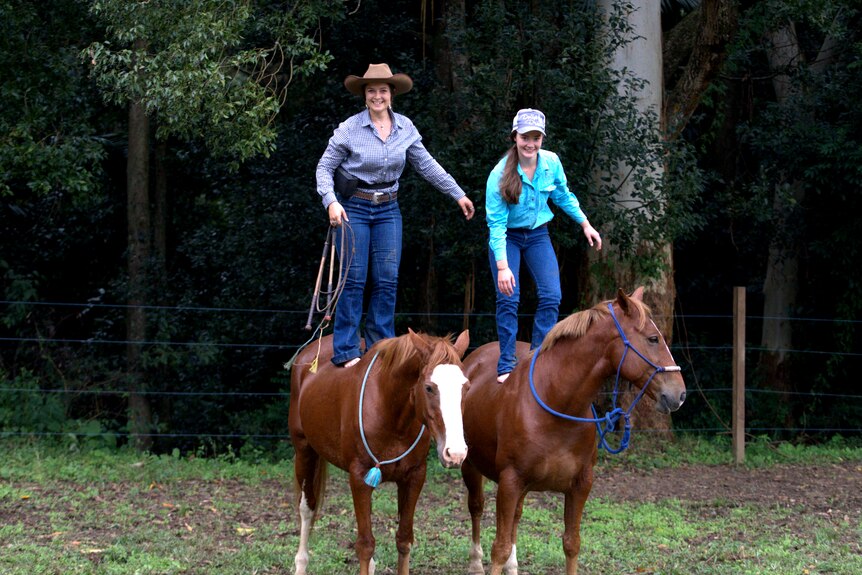 Teenage girls stand on their horses
