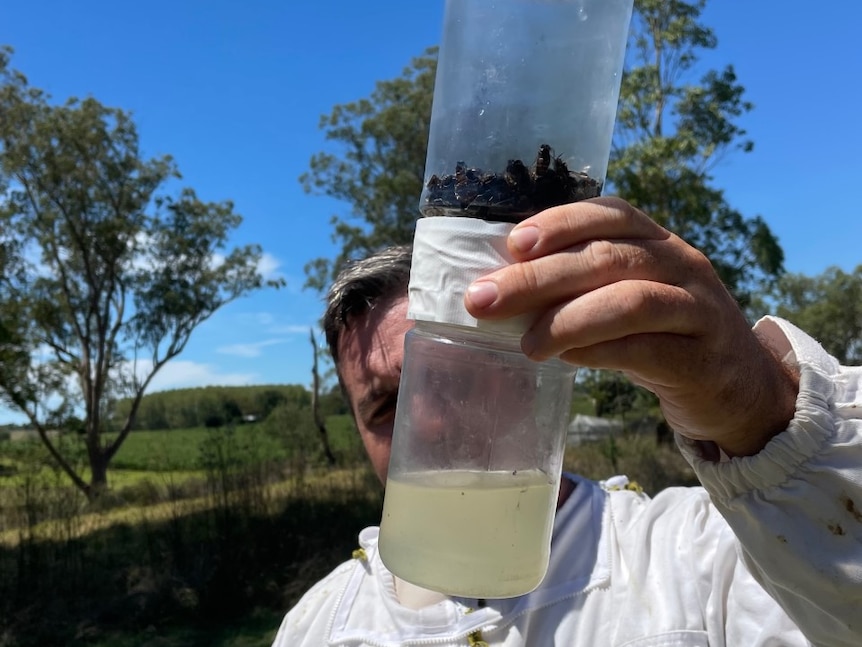 A beekeeper in a white suit holding an alcohol wash test.