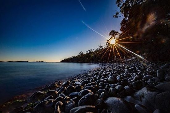 Sun through trees at Adventure Bay