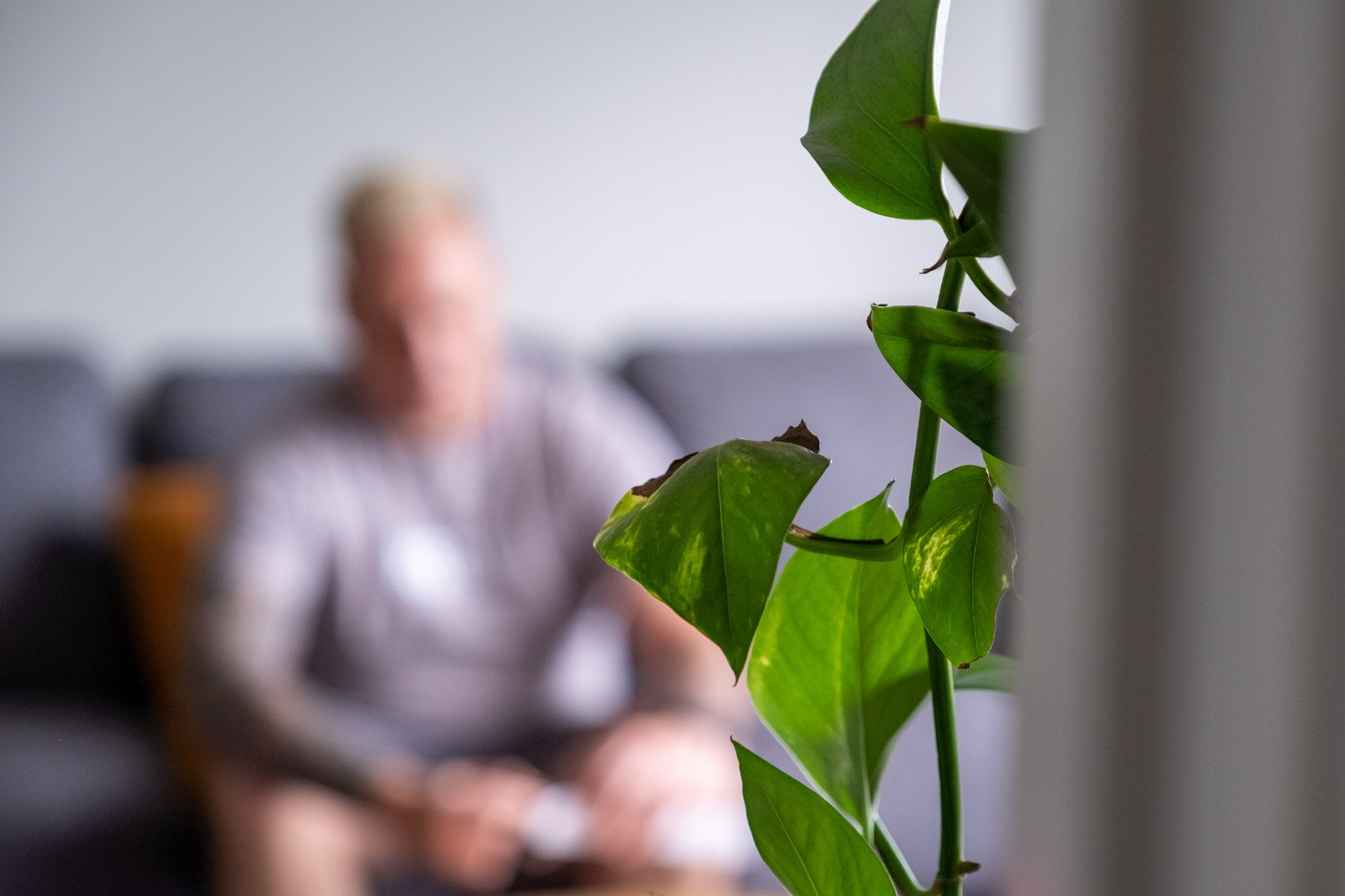 Rod is pictured blurry in the background behind a plant.