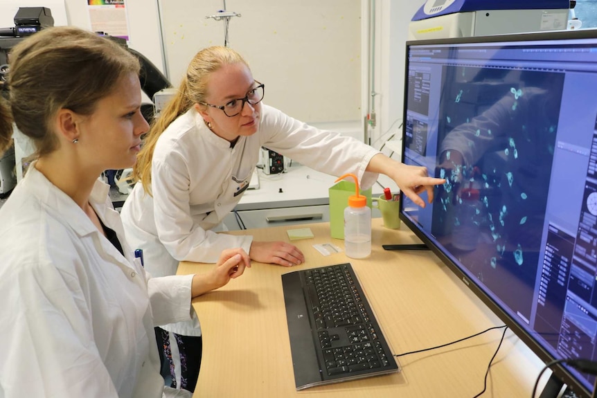 two men looking at cell sequencing on a computer screen