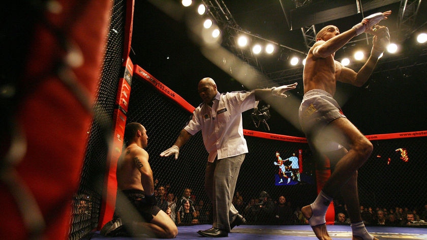 AMA's vice-president Steve Parnis said cage fighting was "something you would expect from the 19th century".