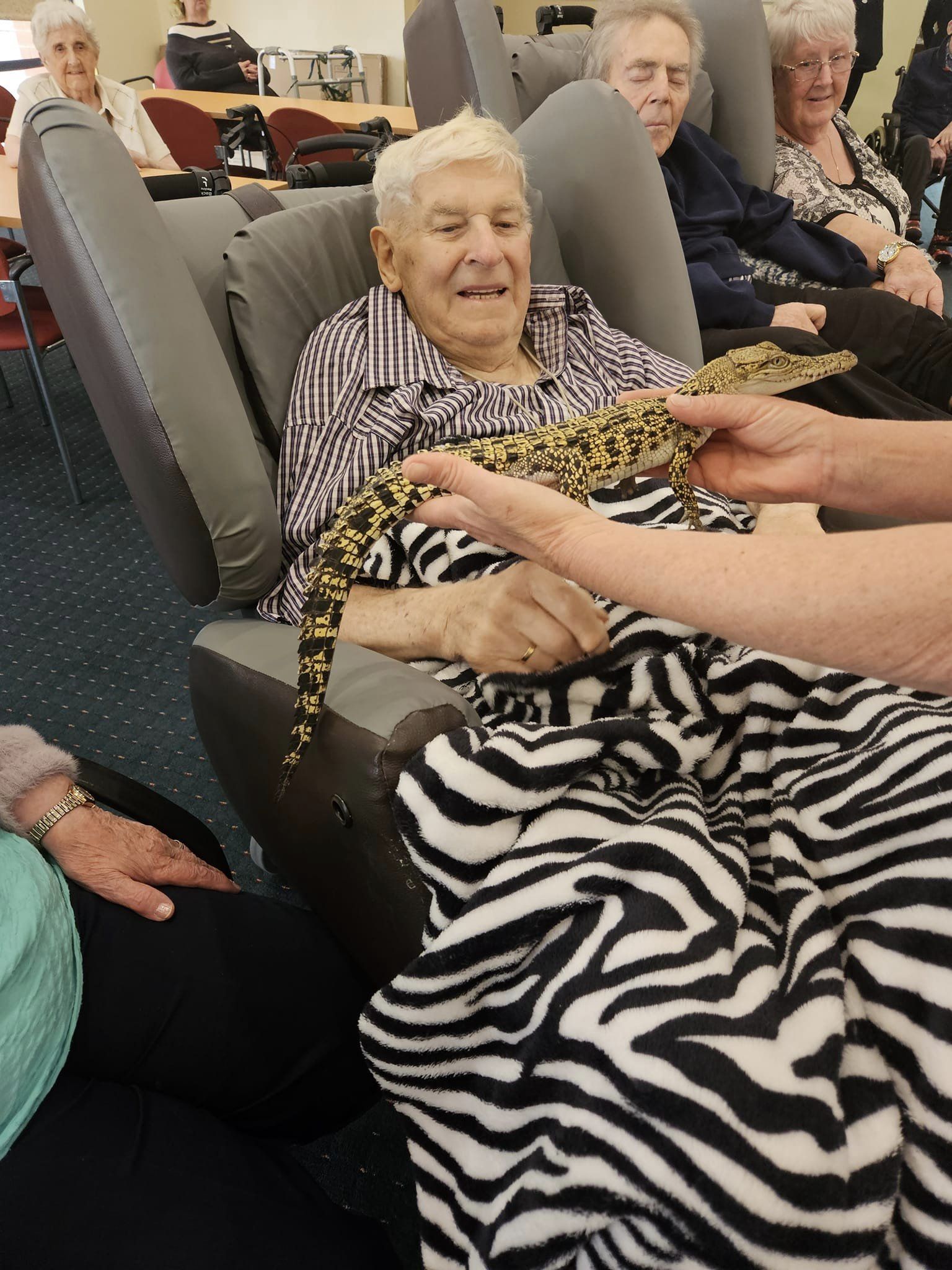 an elderly aged care resident looks at a juvenile saltwater crocodile