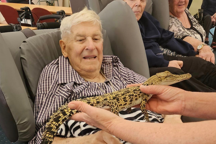 an elderly aged care resident looks at a juvenile saltwater crocodile