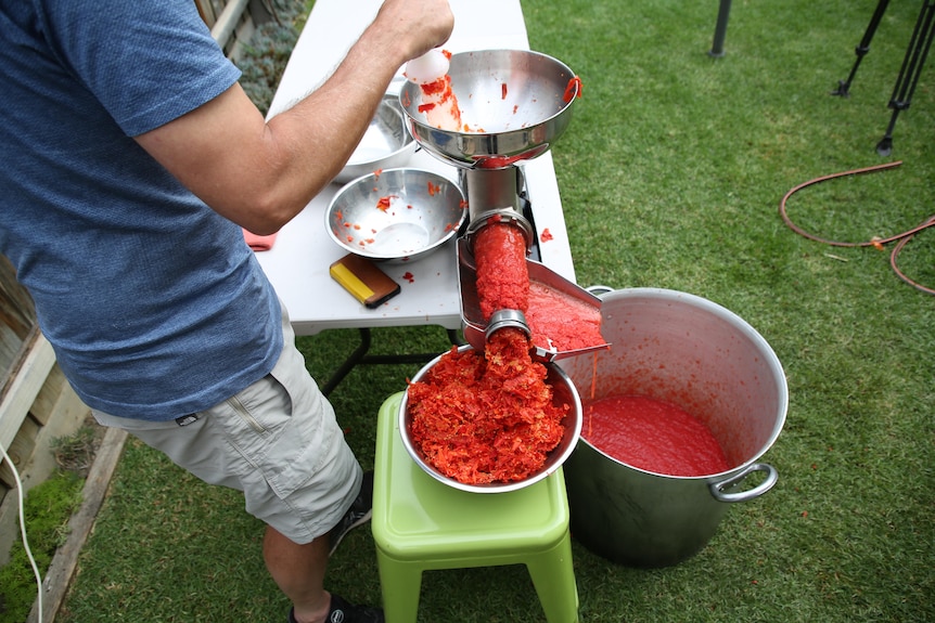 a man feeds tomatoes into a machine that turns them into passata