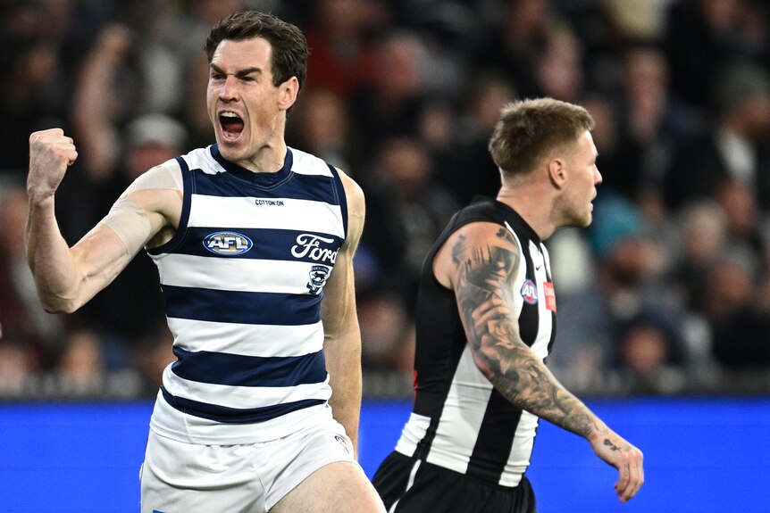A Geelong AFL player roaqrs in celebration as he pumps his fist after scoring a goal.