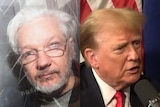 Two pictures, side by side. One shows Julian Assange looking through a window. The other shows Donald Trump at a microphone.