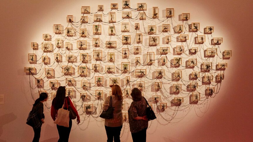 Colour photograph of an wall installation artwork by artist Geraldine Javier using thread, silk organza and wooden frames.