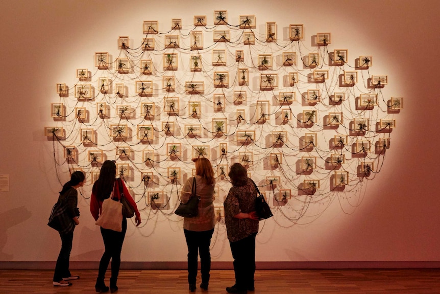 Colour photograph of an wall installation artwork by artist Geraldine Javier using thread, silk organza and wooden frames.