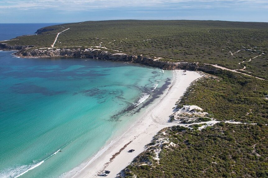 Drone aerial view of aqua blue, white sandy beach and green bushland peninsula