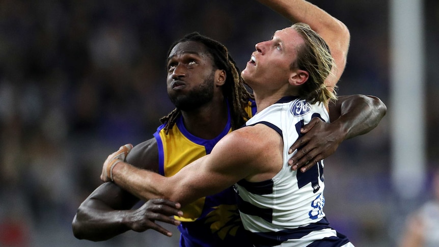 A West Coast AFL player pushes against a Geelong opponent as they look to the air for the ball.