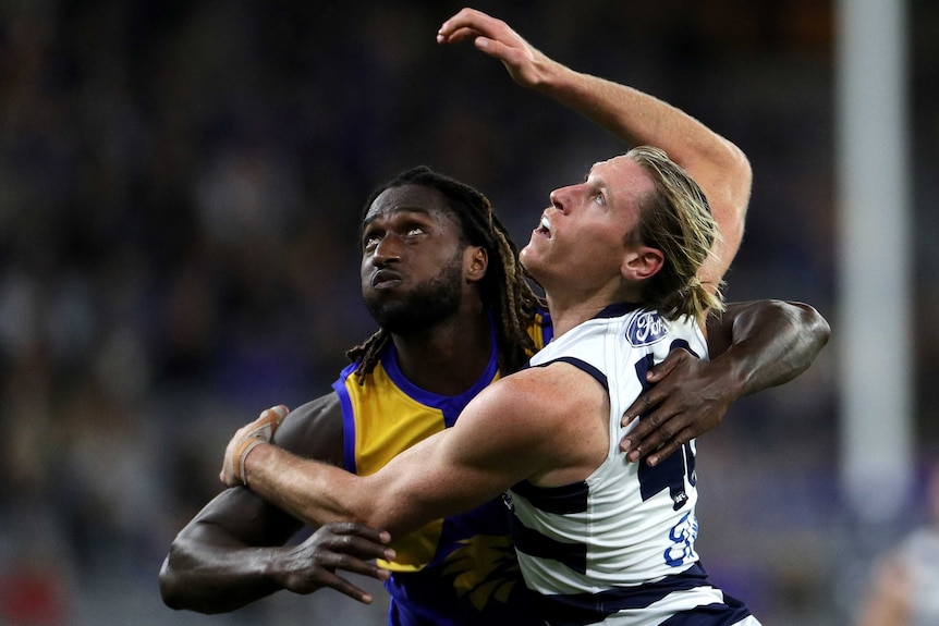 A West Coast AFL player pushes against a Geelong opponent as they look to the air for the ball.