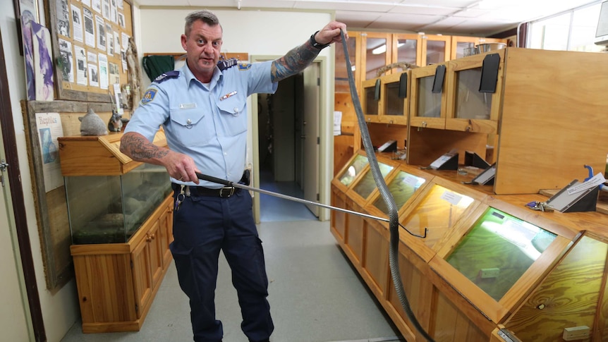 Ian Mitchell handles an eastern brown snake.