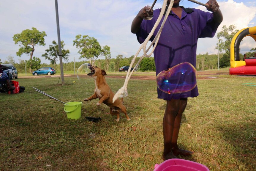 A little girl makes bubbles with a rope on a lawn, and a small dog snaps at them behind her.