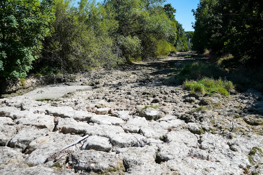 The sun beats down on a dried-up bed of a river, with green trees and shrubs along the bank.