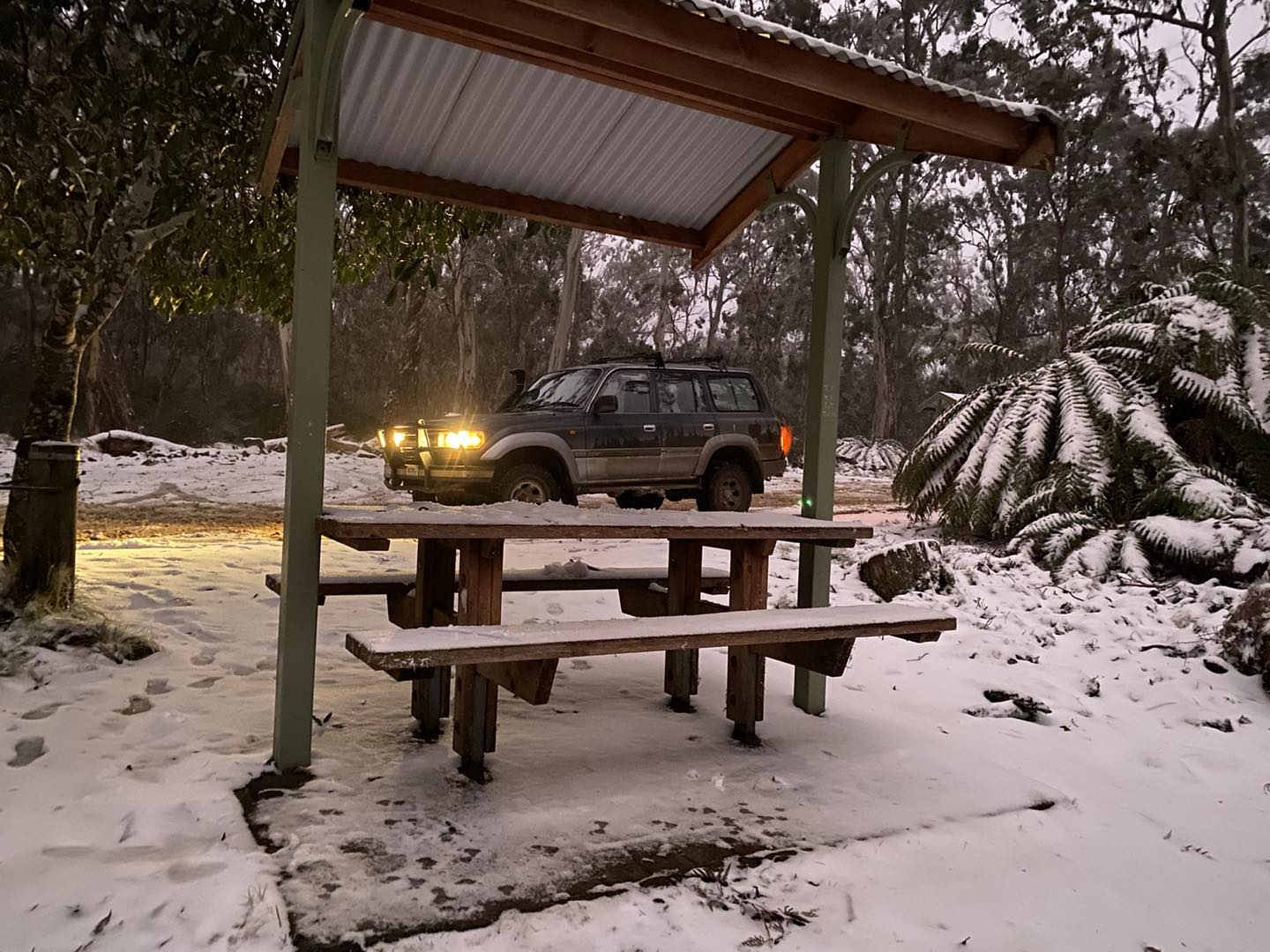 Snow settles  in the Barrington Tops, including on a park bench. A 4WD is in the background with its lights on.