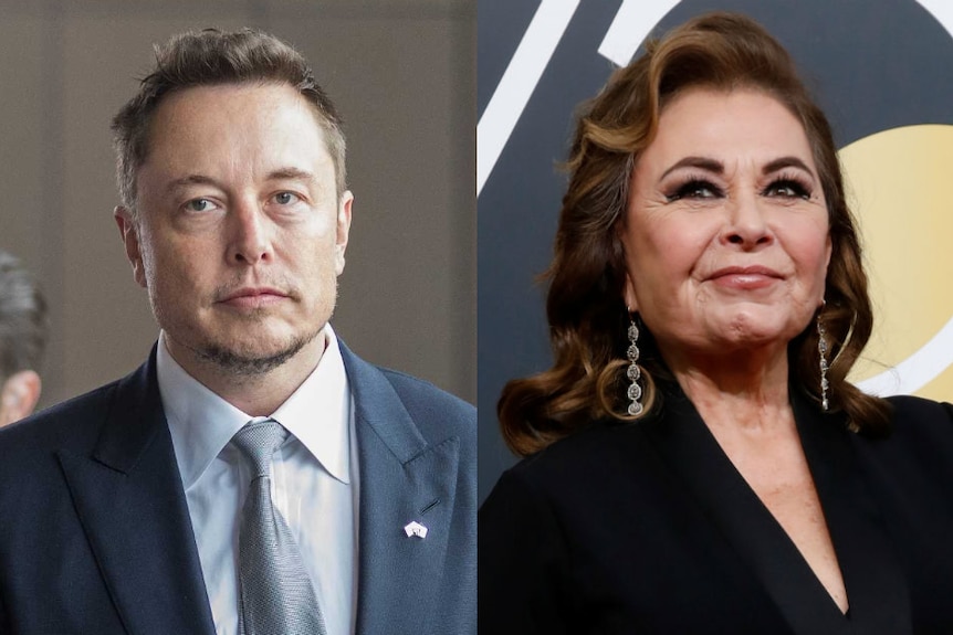 A composite image of Elon Musk and Roseanne Barr.