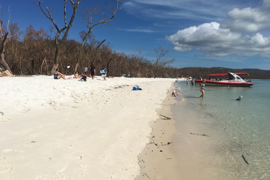 Southern end of damaged Whitehaven Beach off north Queensland in April 2017 after Cyclone Debbie in March.